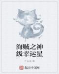 海贼之神级抽奖