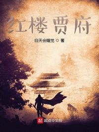 红楼贾府长媳