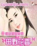 田野花香(乡村猎艳)珍藏全本作者