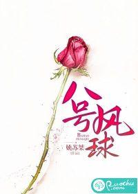 八号风球by卡比丘讲什么